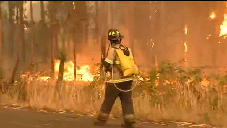 Hay 11 focos activos: Decretan alerta roja por incendios forestales en la Araucanía