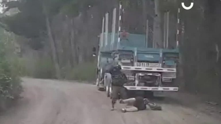 Amenazó al conductor con arma de fuego: Captan violento asalto a un camión en Arauco