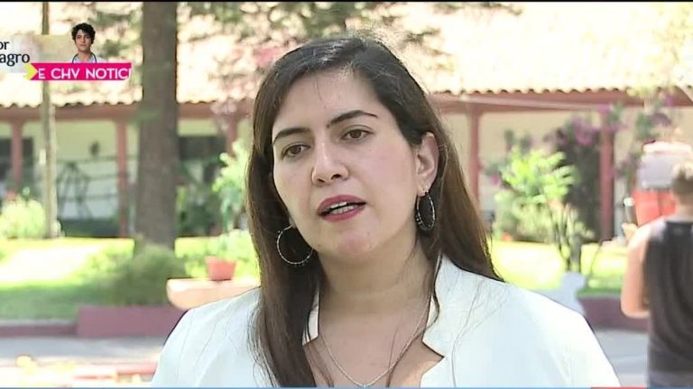Tenía antecedentes por robo con intimidación: Acosador de alcaldesa Karina Delfino fue detenido por PDI