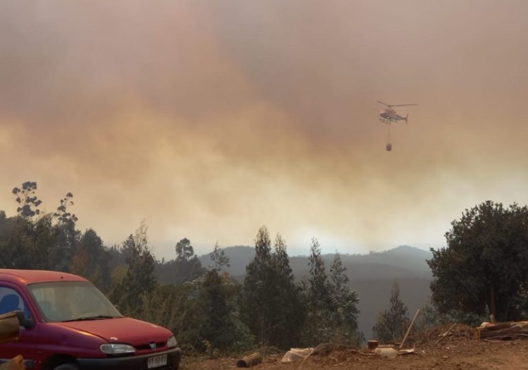 Decretan Alerta Roja en Penco y Tomé por incendio forestal: Fuego amenaza a viviendas