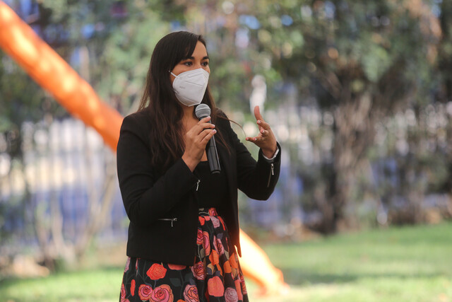 Izkia Siches no descarta renovar Estado de Excepción en macrozona sur : 