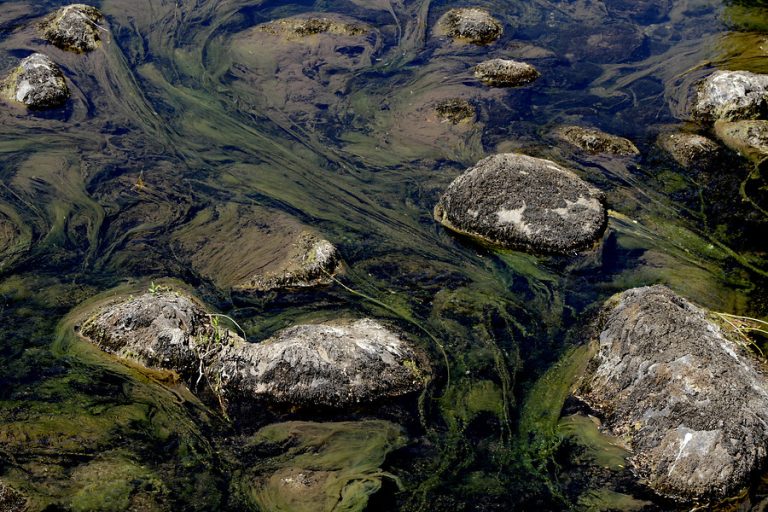 Crisis del agua en la Patagonia: Decreto de escasez hídrica involucra al 61% de los habitantes de Aysén