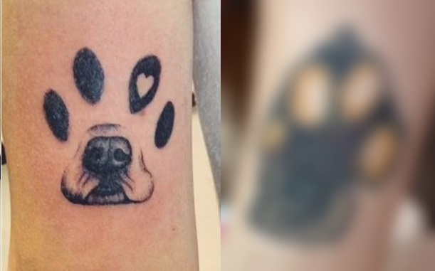 Expectativa vs. realidad: Tiktoker se tatuó un homenaje a su perro y el resultado fue decepcionante