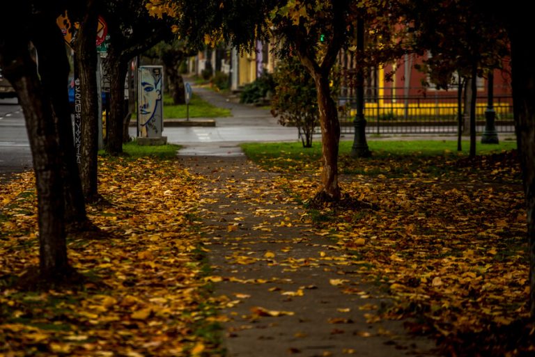 Adiós verano: ¿Cuándo llega el otoño a Chile y qué día se debe cambiar la hora?