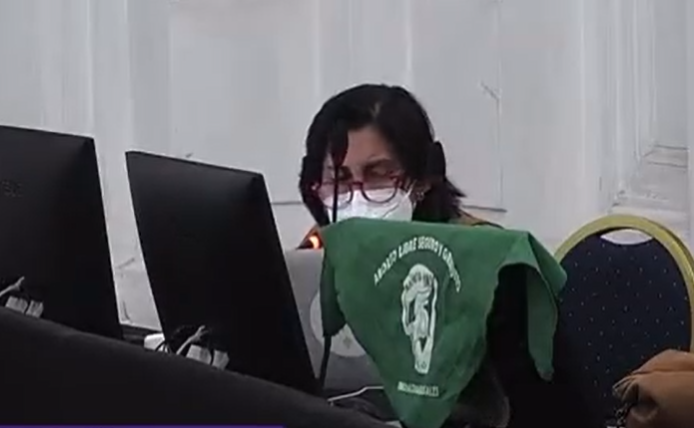 Intervención de convencional Loreto Vidal por derechos sexuales emocionó en el pleno: 