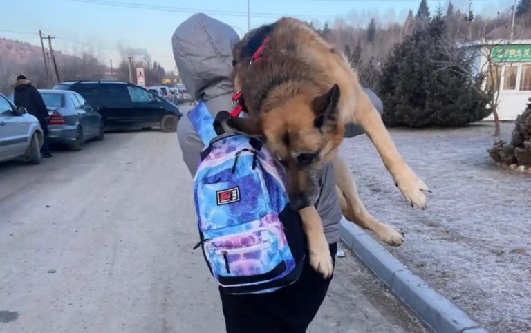 Mujer recorrió 17 kilómetros cargando a su perra en la espalda para huir de Ucrania: 