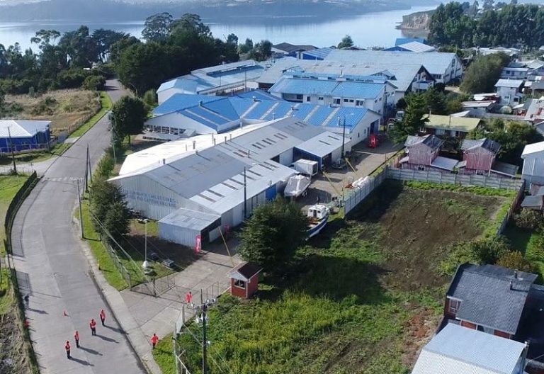 Chiloé: Estudiante de 14 años fue formalizado tras apuñalar a un compañero de curso