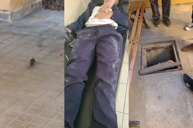 Ratones, caída a una alcantarilla y falta de alimentos: Los detalles del segundo retorno a clases del Liceo Darío Salas