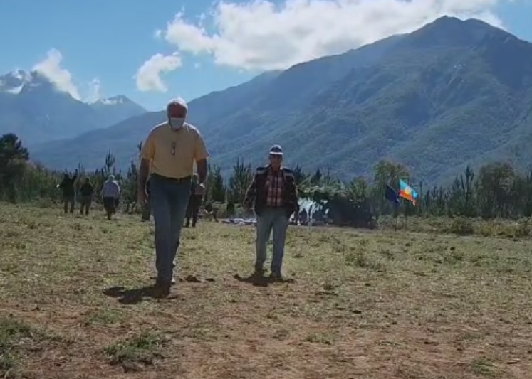 Denuncian que mapuches se tomaron de forma 