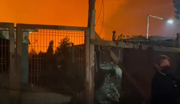 “Ojalá ponerlos tras las rejas”: Alcalde de Valparaíso presenta querella por incendio forestal en Laguna Verde