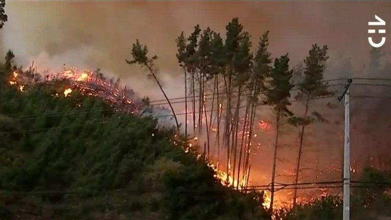 Alerta roja: Valparaíso enfrenta gigantesco incendio que podría ser intencional