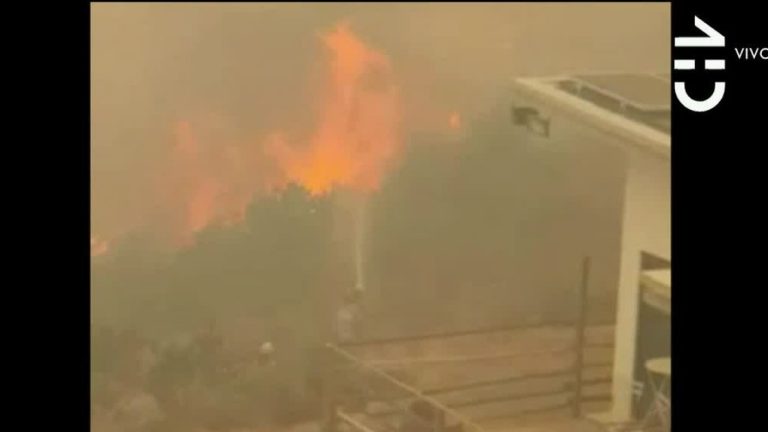 Último minuto: Incendio forestal en Penco amenaza viviendas y podría expandirse a Tomé