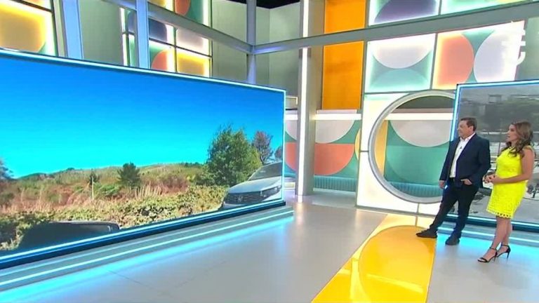 Exclusivo: Así fueron las ráfagas de disparos que interrumpieron comitiva de Izkia Siches en Temucuicui