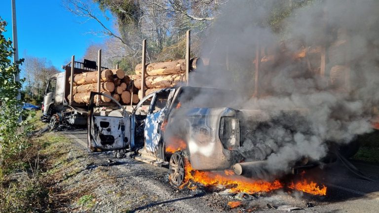 “Trece organizaciones mapuches que usan la violencia se juntaron un mes antes del Cambio de Mando: dijeron 'nos da lo mismo el nuevo Gobierno'”