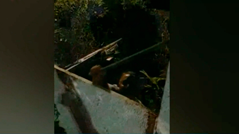 VIDEO | Así fue la violenta reacción del vecino que atacó a niños en un cumpleaños