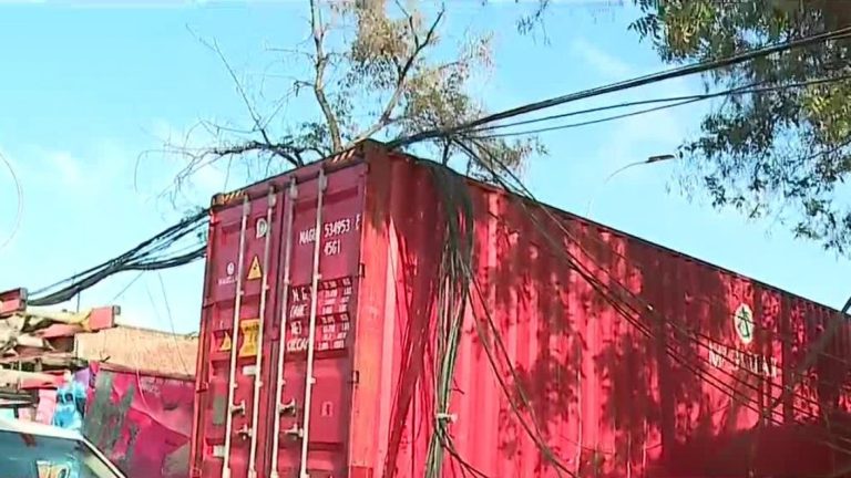 Ocurrió en Barrio Bellavista: Camión derribó varios postes por culpa de cables colgando