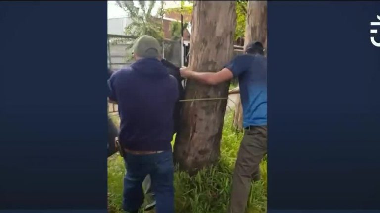 ¿Es realmente una práctica nueva? Linchamientos y ejecuciones ilegales son cada vez más frecuentes