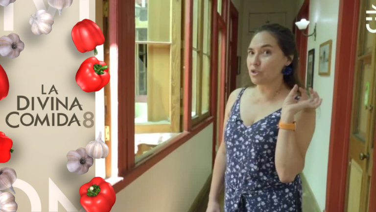 ¡Con documentos históricos enmarcados! Así es la casa de Alejandra Matus