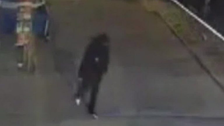 En Pedro Aguirre Cerda: Banda armada causó pánico en población La Victoria