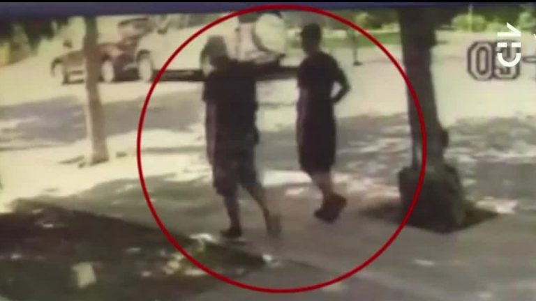 Esposo de la víctima logró frustrar el robo: Dos sujetos fueron detenidos por portonazo en Providencia