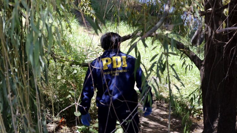 Habría matado a su padre: PDI detuvo a presunto autor de parricidio en Quillota