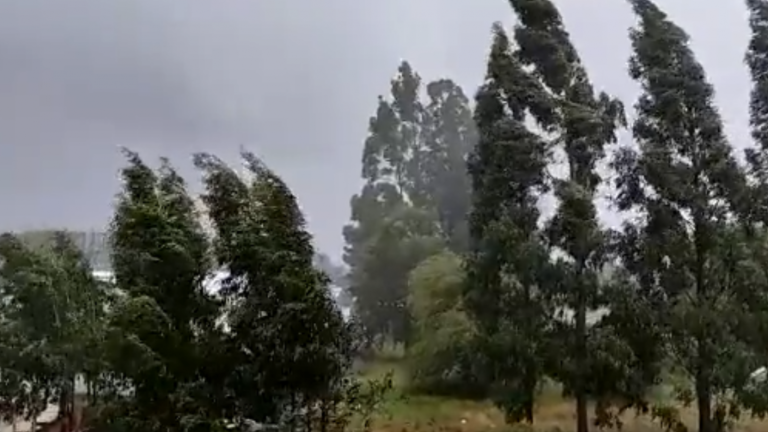 ¿Pasó un tornado? Potentes rachas de viento causan estragos en viviendas de Puerto Montt