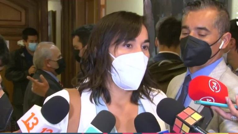 Ministra Izkia Siches: 