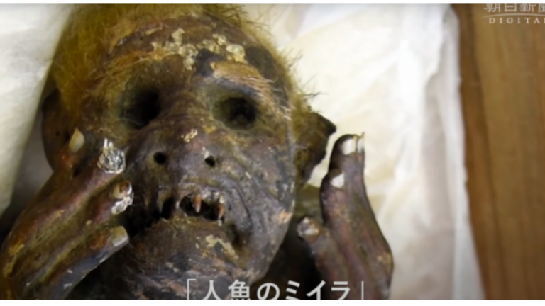 ¿Mezcla de mono y pez? Científicos buscan develar el origen de la momia “sirena” encontrada en Japón