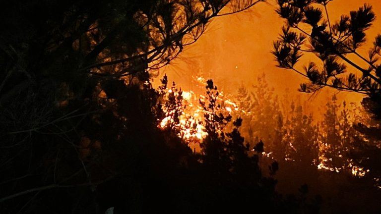 Alerta Roja en Valparaíso: Bomberos de RM fueron despachados a Laguna Verde por incendio forestal de gran magnitud