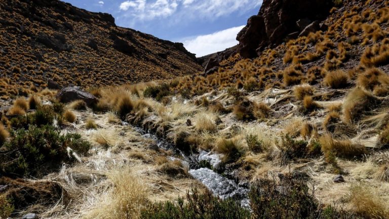 Las aguas del río Silala: Cuál es la postura de Chile frente a la demanda contra Bolivia en La Haya