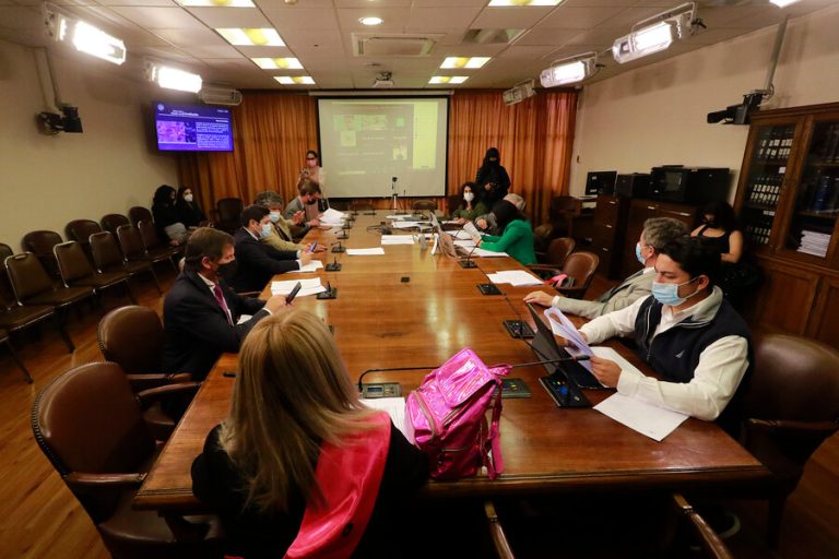 Quinto retiro: ¿En qué está el proyecto y cuándo será votado?