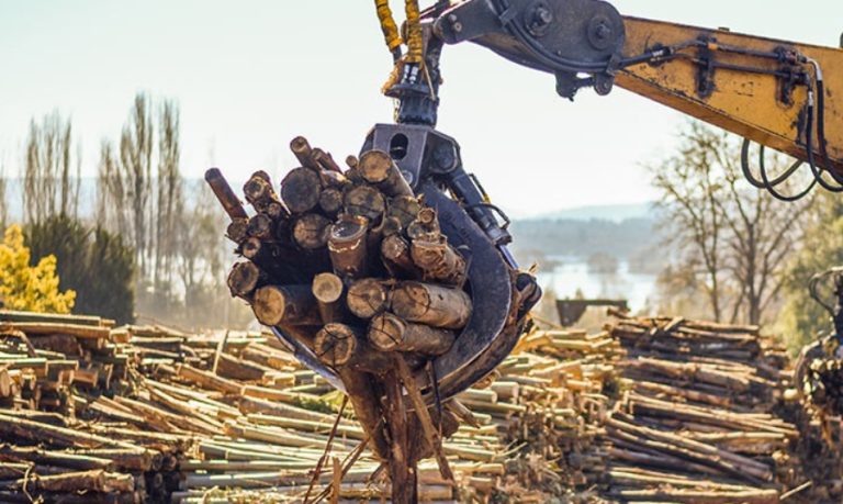 Productores de madera responden al Pdte. Boric: Aseguran que en la macrozona sur 