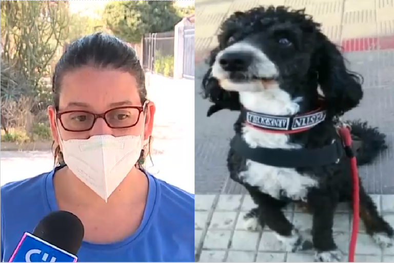 Acusa discriminación: Denuncia que universidad no la deja asistir con su perro de asistencia emocional