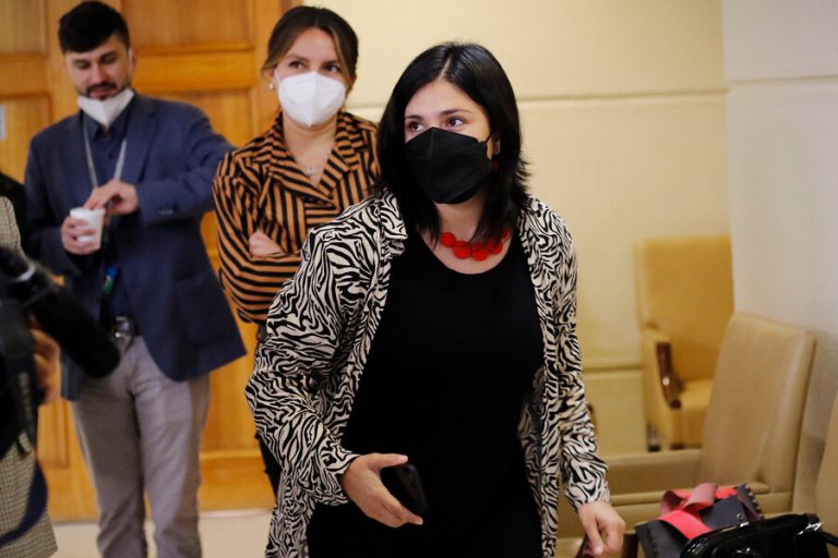 Karol Cariola pide al gobierno 