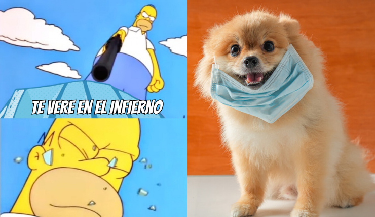 “It’s time”: La ola de memes que desató la flexibilización del uso de la mascarilla en lugares abiertos