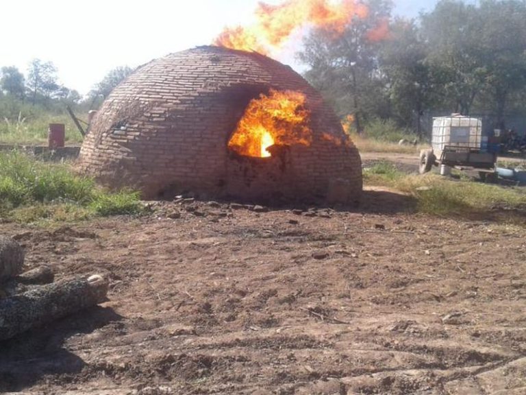 Horror en Argentina: Niño de 6 años murió tras caer adentro de un horno de carbón