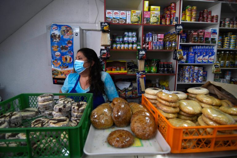 Digitaliza tu almacén: El paso a paso para postular al subsidio de hasta $2.350.000