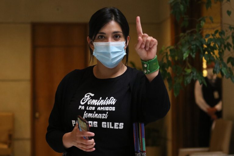 Karol Cariola pide al gobierno 