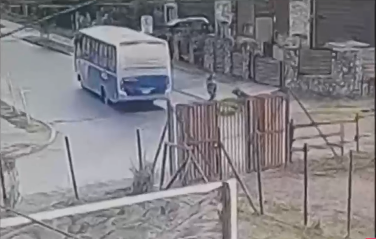 Joven quedó en riesgo vital tras caer desde una micro en Concepción: Conductor fue formalizado