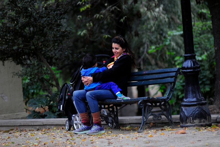 ¿De qué trata el proyecto sobre pago efectivo de pensiones de alimentos anunciado por el gobierno?