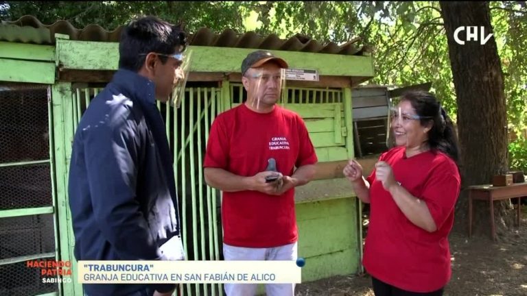 Haciendo Patria: Juan Pablo Queraltó conoció a Gloria y Ernesto