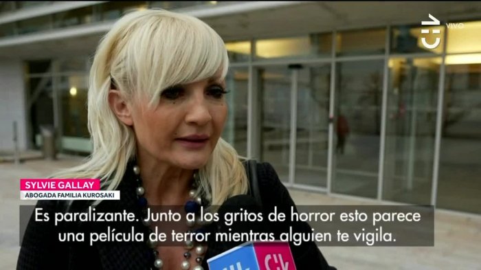 Abogada de la familia Kurosaki: 