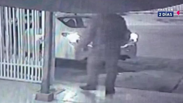 Con disparos al aire: Delincuentes concretan portonazo en Puente Alto