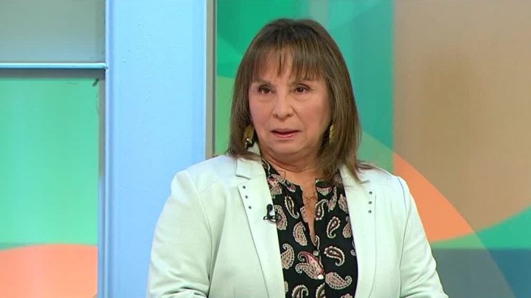 Ministra de Desarrollo Social explica por qué no es bueno fijar precios: “Se genera acaparamiento y mercado negro”