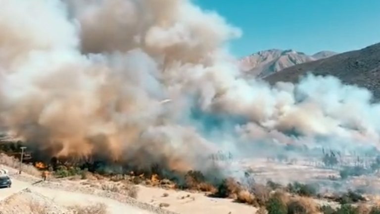 Declaran Alerta Roja en la comuna de Monte Patria tras incendio forestal: Al menos 3 casas consumidas