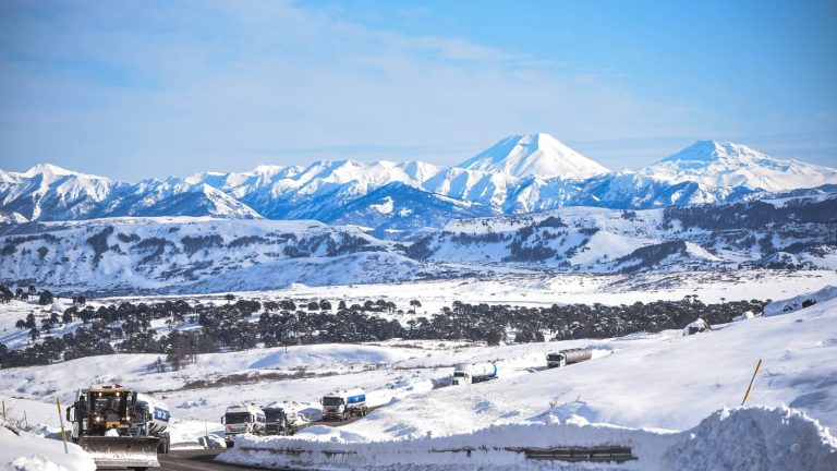 Tras malentendido con Argentina: Gobierno confirma apertura de pasos fronterizos el próximo 1 de mayo