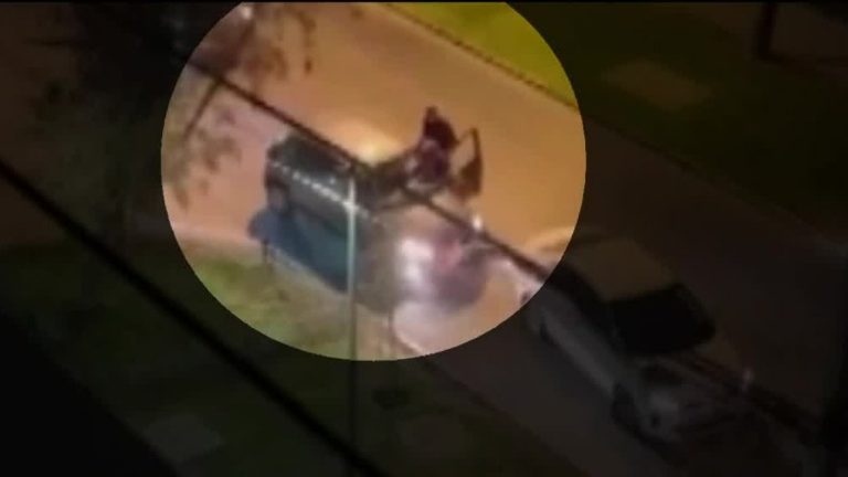 Chocó auto de los delincuentes: Mujer logró evitar portonazo en Ñuñoa