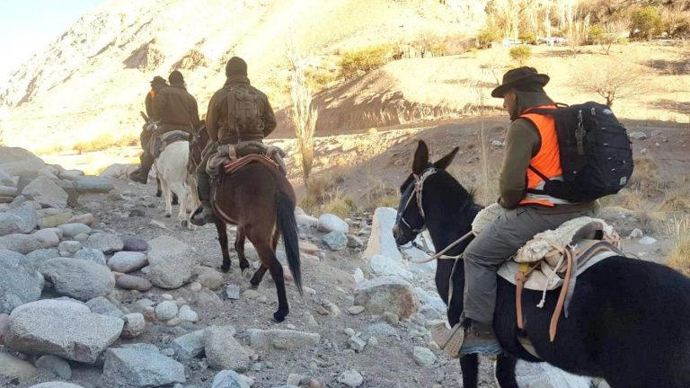 Extraviados en la cordillera: Arrieros perdidos son buscados intensamente en Linares