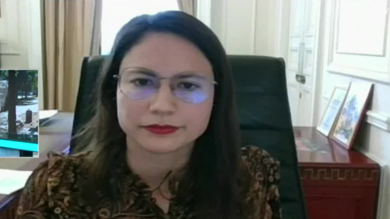 Alcaldesa Irací Hassler: 