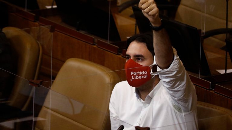 Diputado Mirosevic anuncia reforma constitucional que prorrogaría en 3 meses el trabajo de la CC